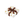 天使盒_彌生