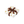 天使盒_彌生