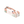 (下單生產) 6入泡芙盒_陽光雨林