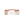 (下單生產) 6入泡芙盒_陽光雨林